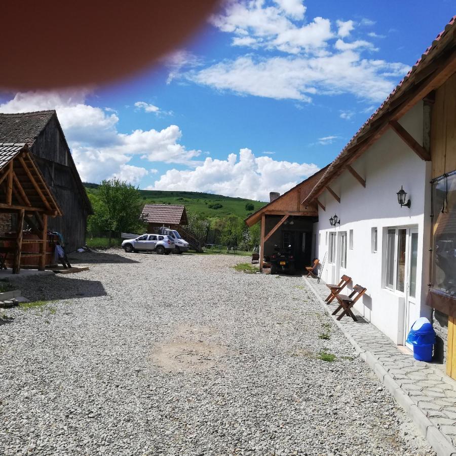 Casa Din Barcut旅馆 外观 照片