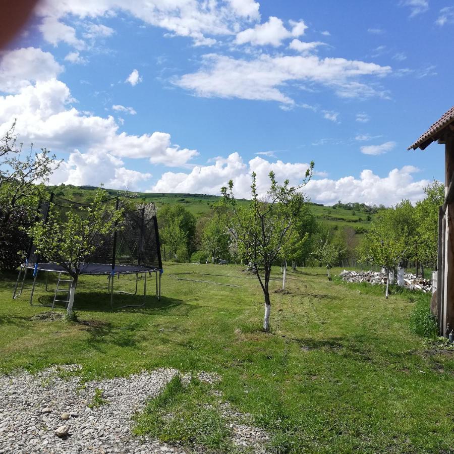 Casa Din Barcut旅馆 外观 照片