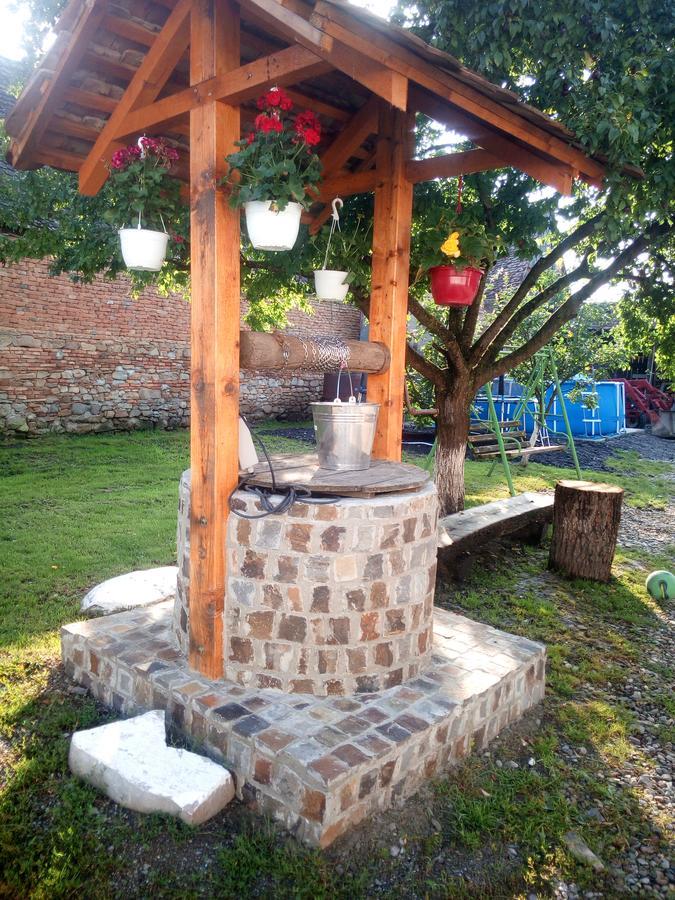 Casa Din Barcut旅馆 外观 照片