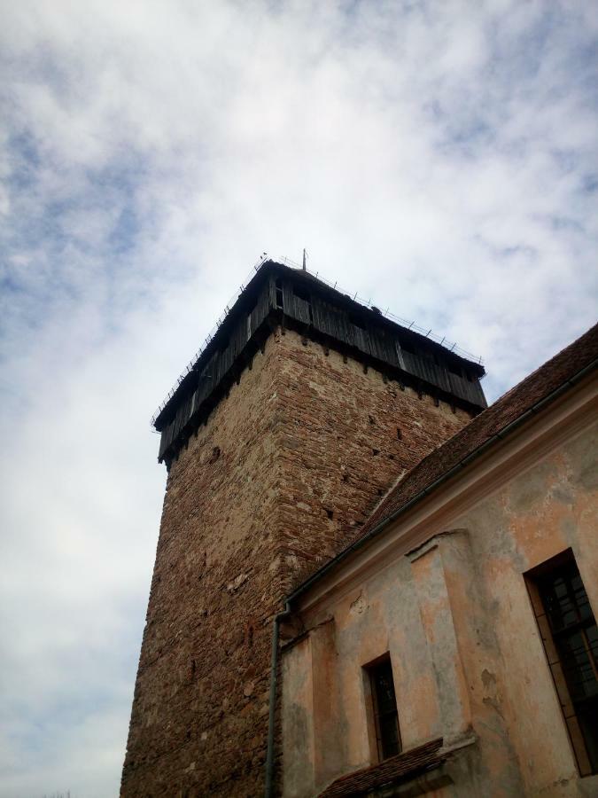 Casa Din Barcut旅馆 外观 照片